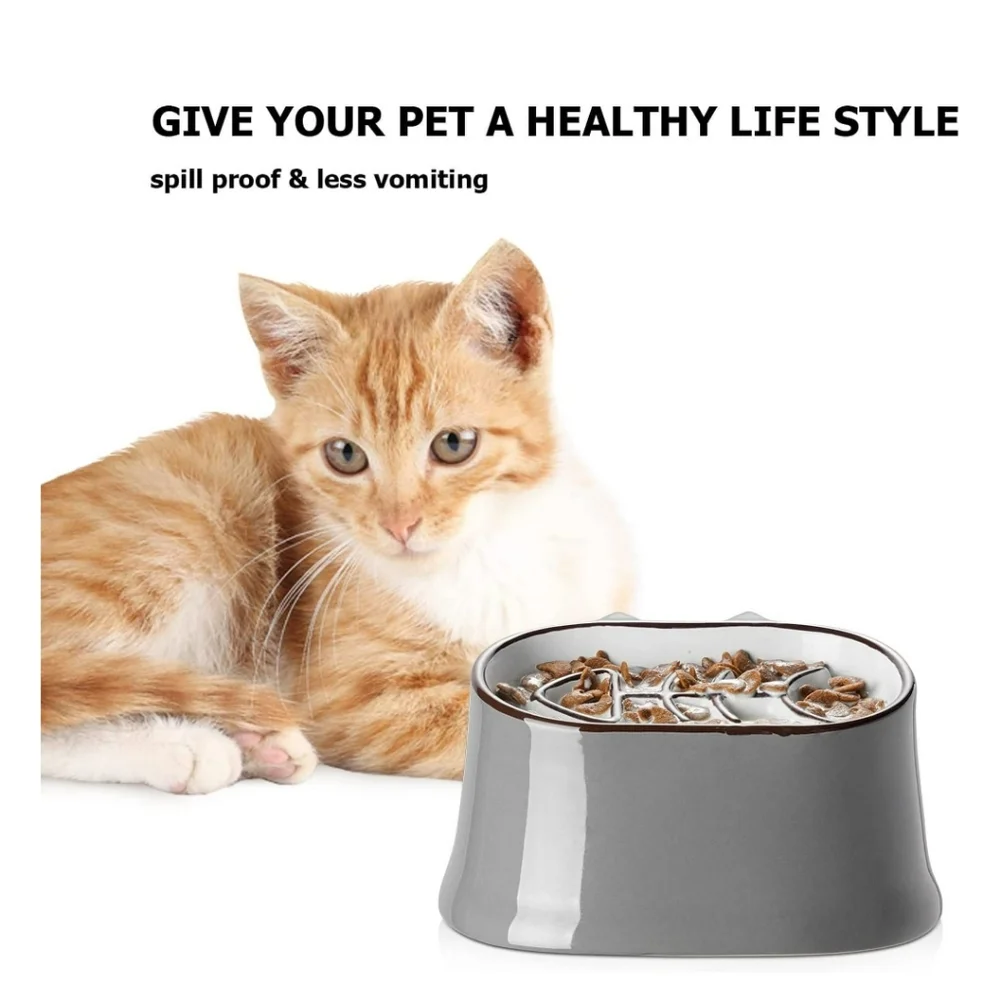 Y YHY Ceramic Fish Bone Slow Feeder Elevated Tilted Neck Protection Dry/Wet Food